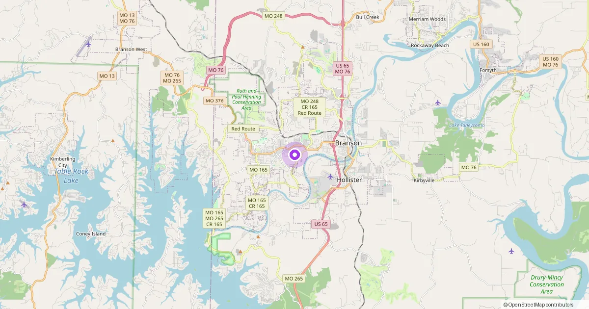 Map showing Branson, MO in Taney County — part of the 2k Web Developments service area.